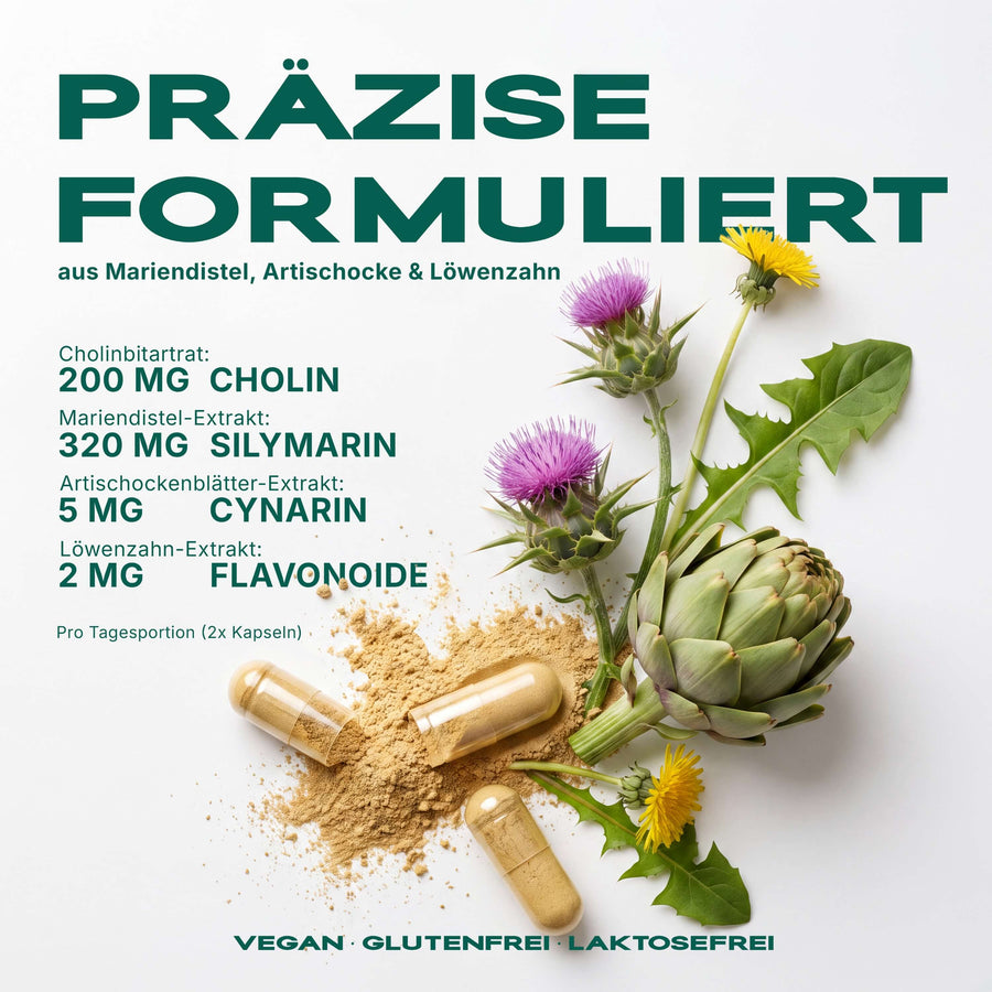 HEPA – Cholin & Pflanzenextrakt-Komplex