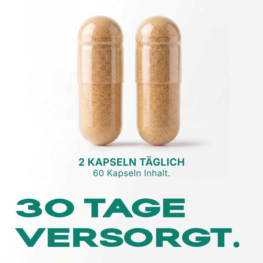 HEPA – Cholin & Pflanzenextrakt-Komplex